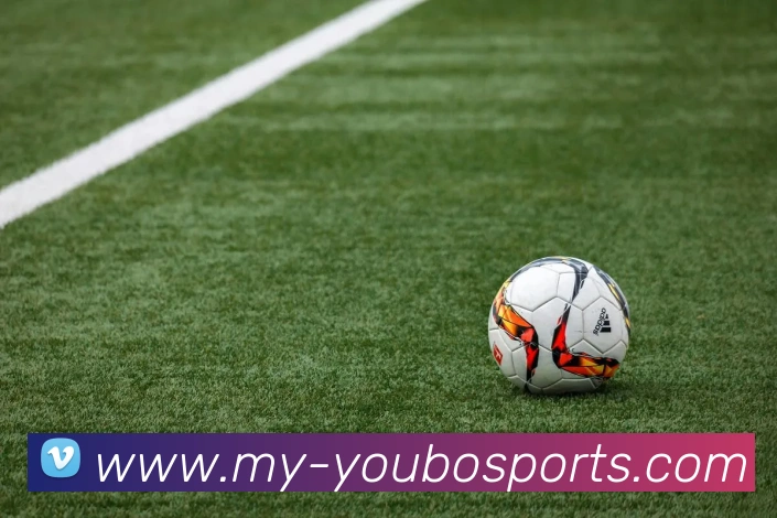 友博体育平台生态图