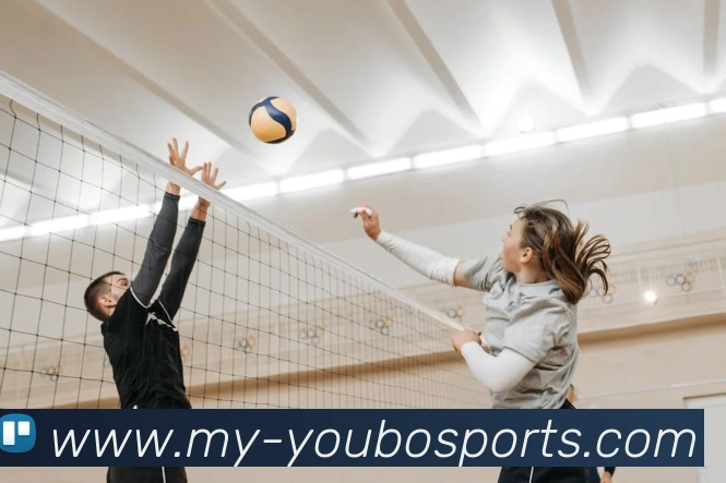 友博体育全站App